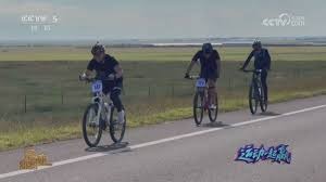 棒球与5G云端的即时观赛反馈