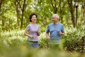 国际棒总肯定亚洲赛事水准